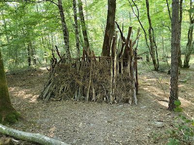 Forêt de Moulière à La Chapelle-Moulière