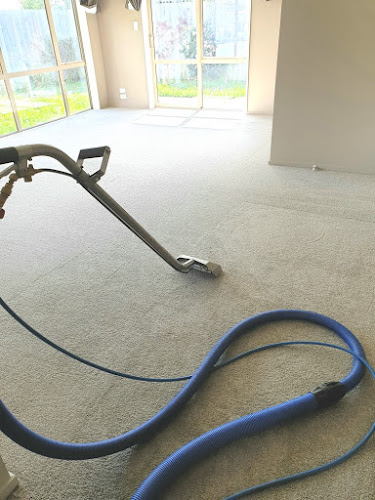 Comments and reviews of Action Carpet Cleaning
