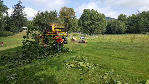 Vineyard «Torne Valley Vineyard», reviews and photos, 1 Torne Valley Rd, Hillburn, NY 10931, USA