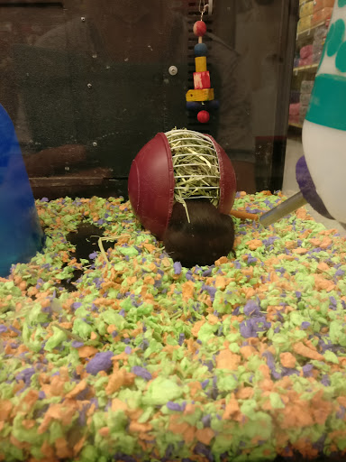 Pet Supply Store «PetSmart», reviews and photos, 1145 W Riverdale Rd, Riverdale, UT 84405, USA