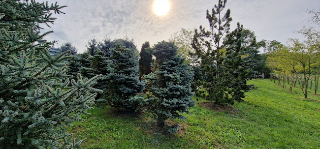 Lüscher Gartenbau-Baumschulen AG - Gartenbauer