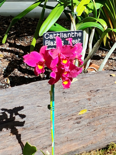 Art Museum «Smithsonian American Art Museum», reviews and photos, F St NW & 8th St NW, Washington, DC 20004, USA