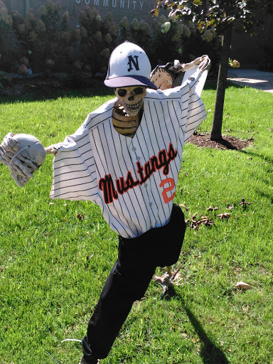 Community Center «Northville Community Center», reviews and photos, 303 W Main St, Northville, MI 48167, USA