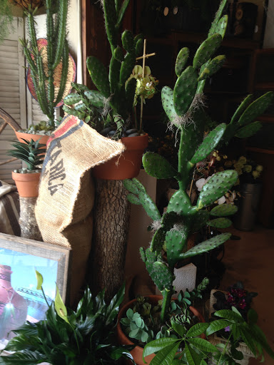 Florist «Williamsburg Floral & Gifts», reviews and photos, 701 Merrimac Trail, Williamsburg, VA 23185, USA