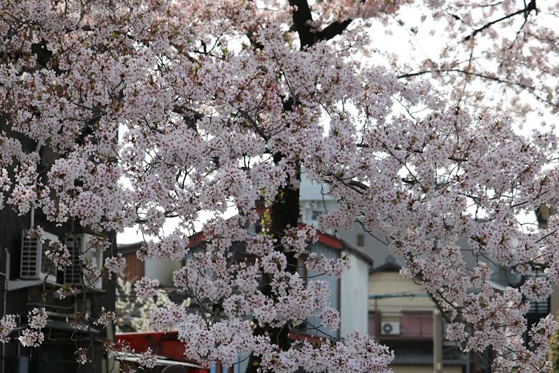ゲームゾーン 一宮店 愛知県一宮市羽衣 ゲームセンター グルコミ