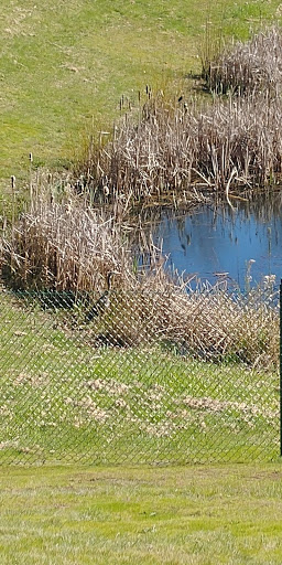 Park «Lake Boren Park», reviews and photos, 13058 SE 84th Way, Newcastle, WA 98056, USA