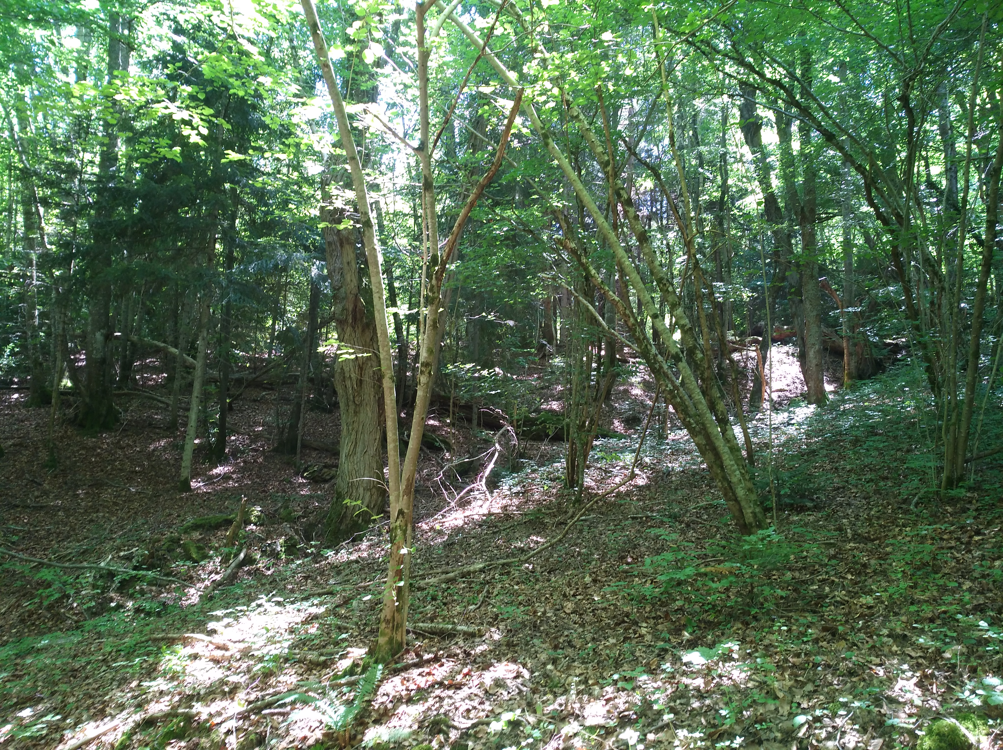 Photo n° 13 de l'avis de Nadine.o fait le 17/07/2018 à 15:02
