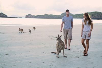 Travel Agency «Cruise Planners - The Cornerstone Travel Agency LLC», reviews and photos, 3020 NE 41st Terrace #314, Homestead, FL 33033, USA