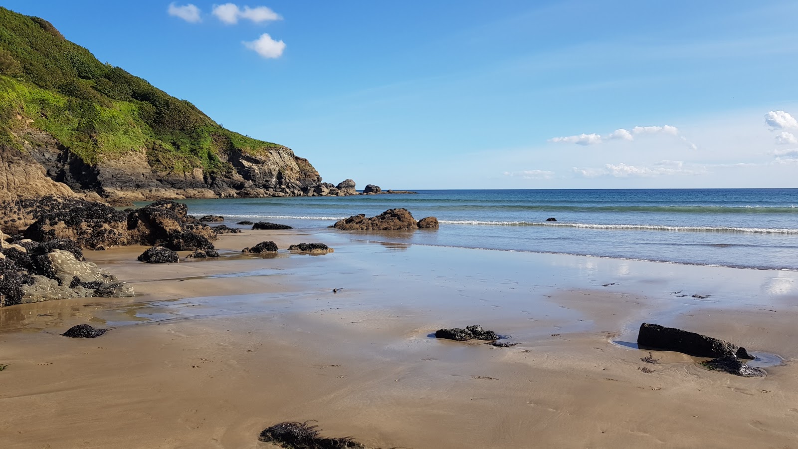 Foto van Caerhays Strand (Porthluney Bay) met meerdere ruime baaien