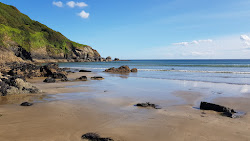 Foto van Caerhays Strand (Porthluney Bay) met meerdere ruime baaien