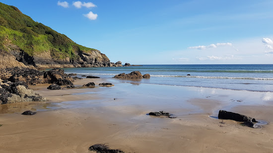Plage de Caerhays (Baie de Porthluney)