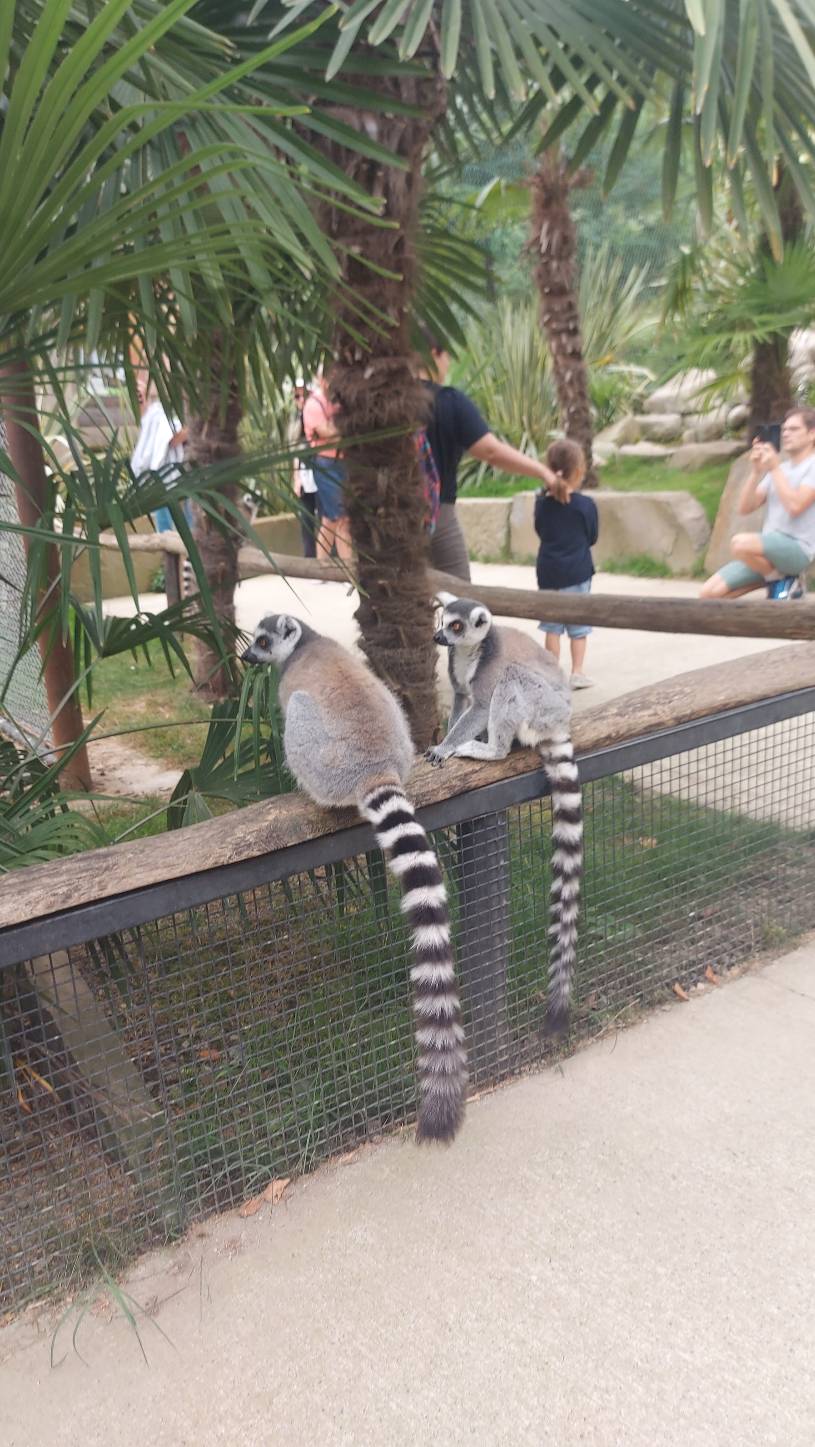 Photo n° 1 de l'avis de Jeremyb59.i fait le 05/08/2023 à 06:02