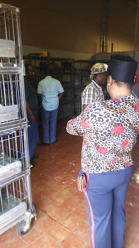 Poultry Farm «Orlando Live Poultry», reviews and photos, 2499 Regent Ave, Orlando, FL 32804, USA