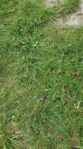 Nature Preserve «Arthur L. Janura Forest Preserve», reviews and photos, IL-58, Elgin, IL 60120, USA