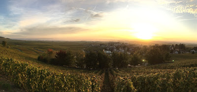 Champagne Le Brun Servenay à Avize