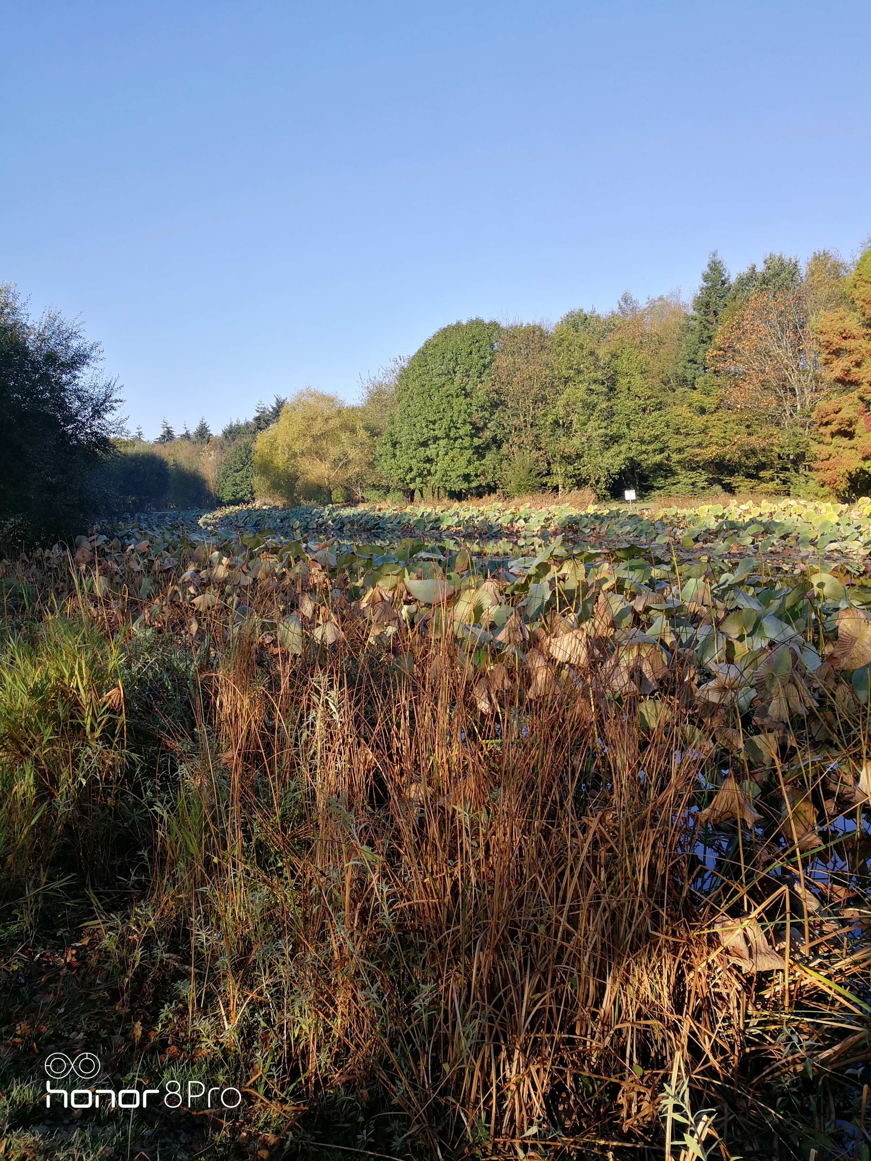 Photo n° 2 de l'avis de Carl.U fait le 24/10/2018 à 08:25