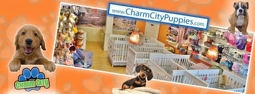 Charm City Puppies, 8205 Snowden River Pkwy, Columbia, MD 21045, USA, 