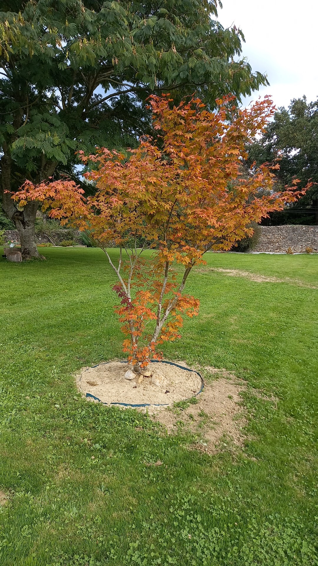 Photo n° 3 de l'avis de richard.i fait le 09/10/2021 à 13:55