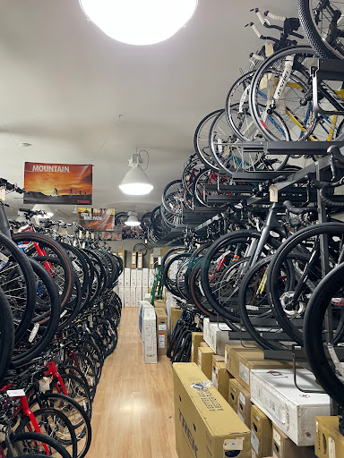 Bicycle Store «Cycle-Fit of Delaware County», reviews and photos, 320 Chester Rd, Wallingford, PA 19086, USA