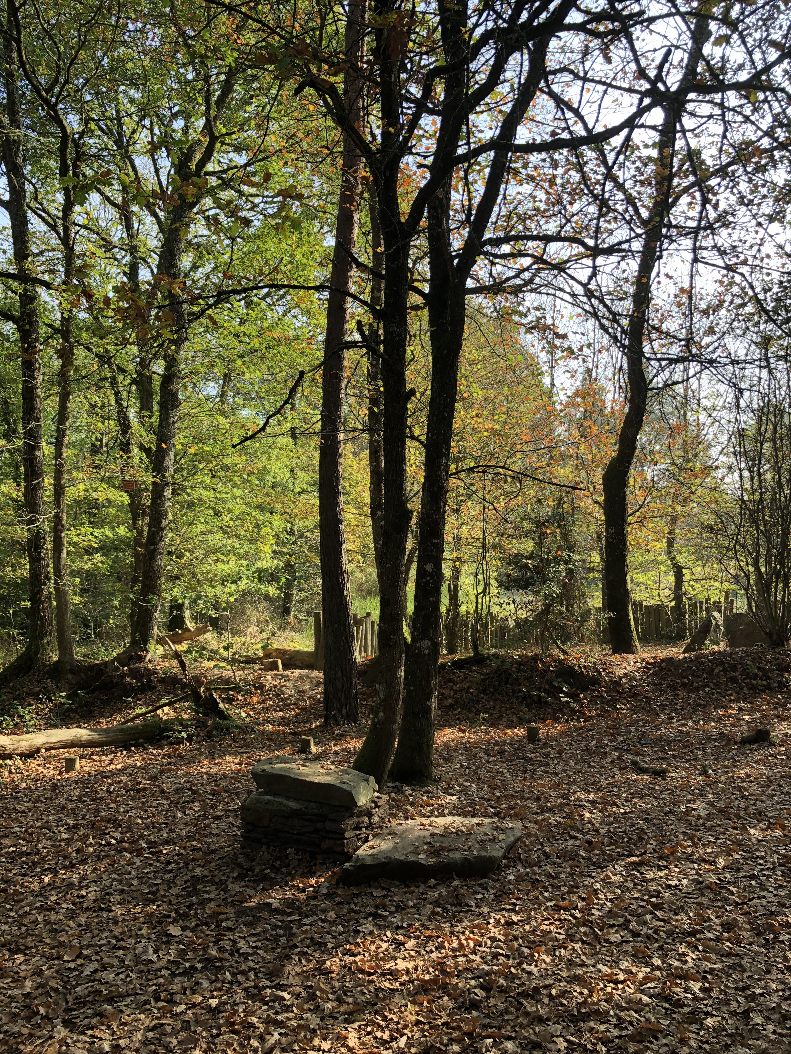 Photo n° 1 de l'avis de Olivier.I fait le 22/10/2018 à 11:46