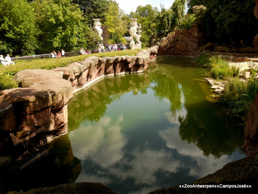 Zoo d'Anvers