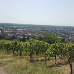 Photo n°4 de l'avis de Mike.a fait le 12/05/2018 à 04:29 sur le  Kirchberghäuschen à Bensheim