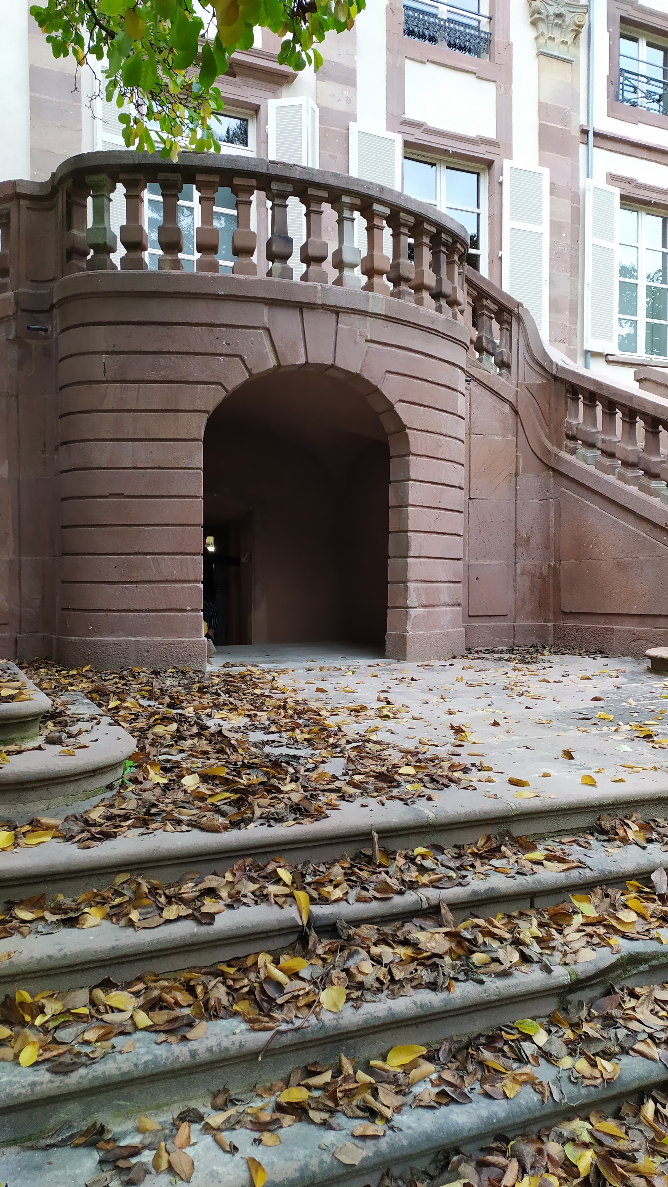 Photo n° 5 de l'avis de Nina.i fait le 27/10/2019 à 16:23