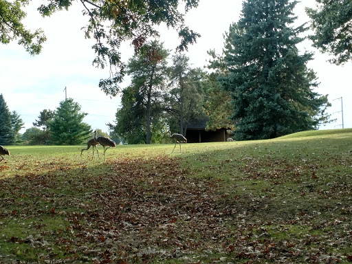 Golf Club «Odana Hills Golf Course», reviews and photos, 4635 Odana Rd, Madison, WI 53711, USA