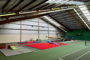 Power Gymnastics Trampoline image