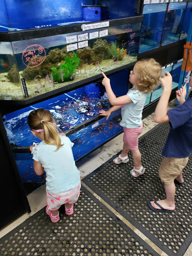 Pet Supply Store «The Grooming Place Pet Shop», reviews and photos, 1713 Main St, Chester, MD 21619, USA