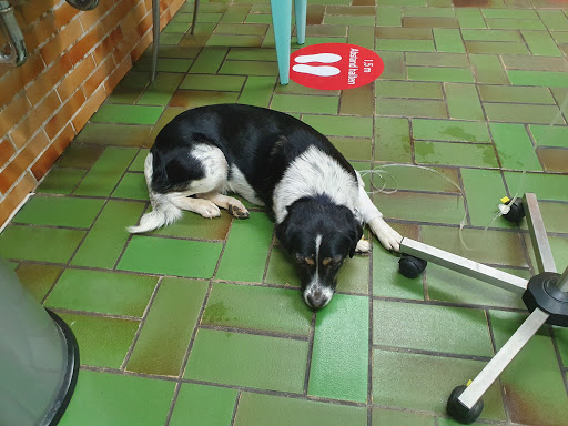 Tierarzt Lichtenfels Schille, Kleintierzentrum am Obermain unter Lichtenfels, 