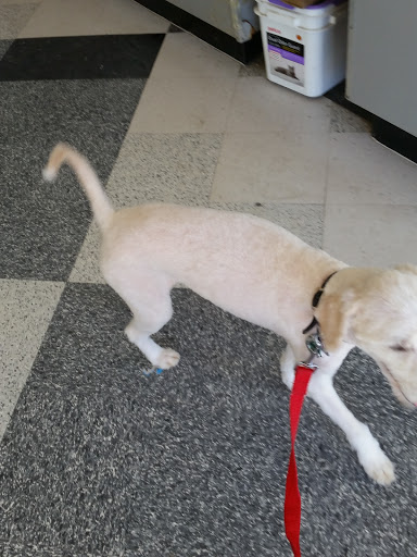 Pet Supply Store «Petco Animal Supplies», reviews and photos, 10060 US Highway 40 G-150, Ellicott City, MD 21042, USA