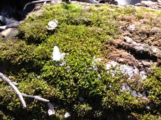 Nature Preserve «Grange Insurance Audubon Center», reviews and photos, 505 W Whittier St, Columbus, OH 43215, USA