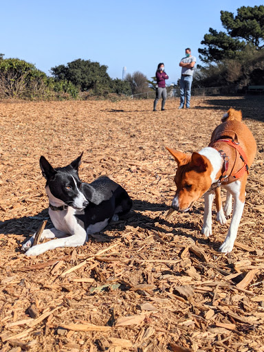 Corona Heights Park