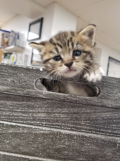 1020 Middle Rd, Glenshaw, PA 15116, USA