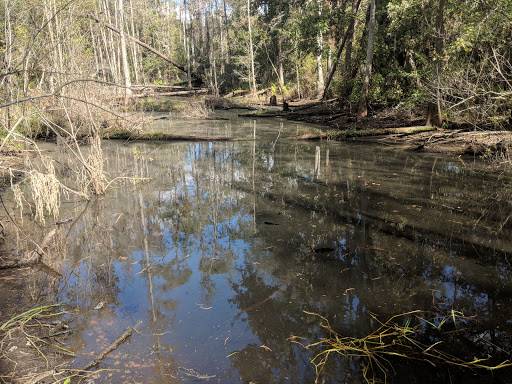 Nature Preserve «Gator Creek Reserve», reviews and photos, 9725 US Hwy 98 N, Lakeland, FL 33809, USA