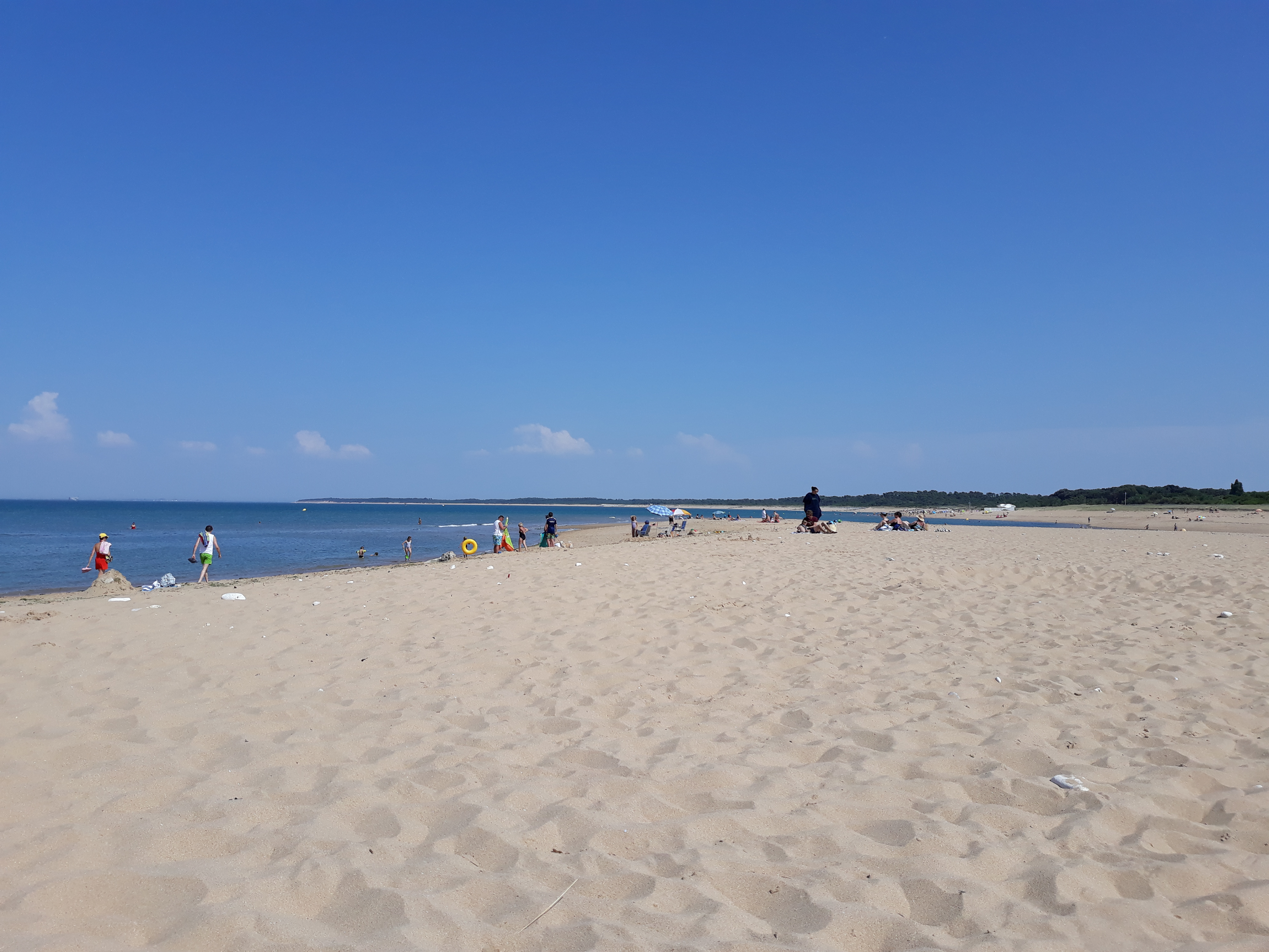 Photo n° 2 de l'avis de Louve.l fait le 16/07/2018 à 22:16