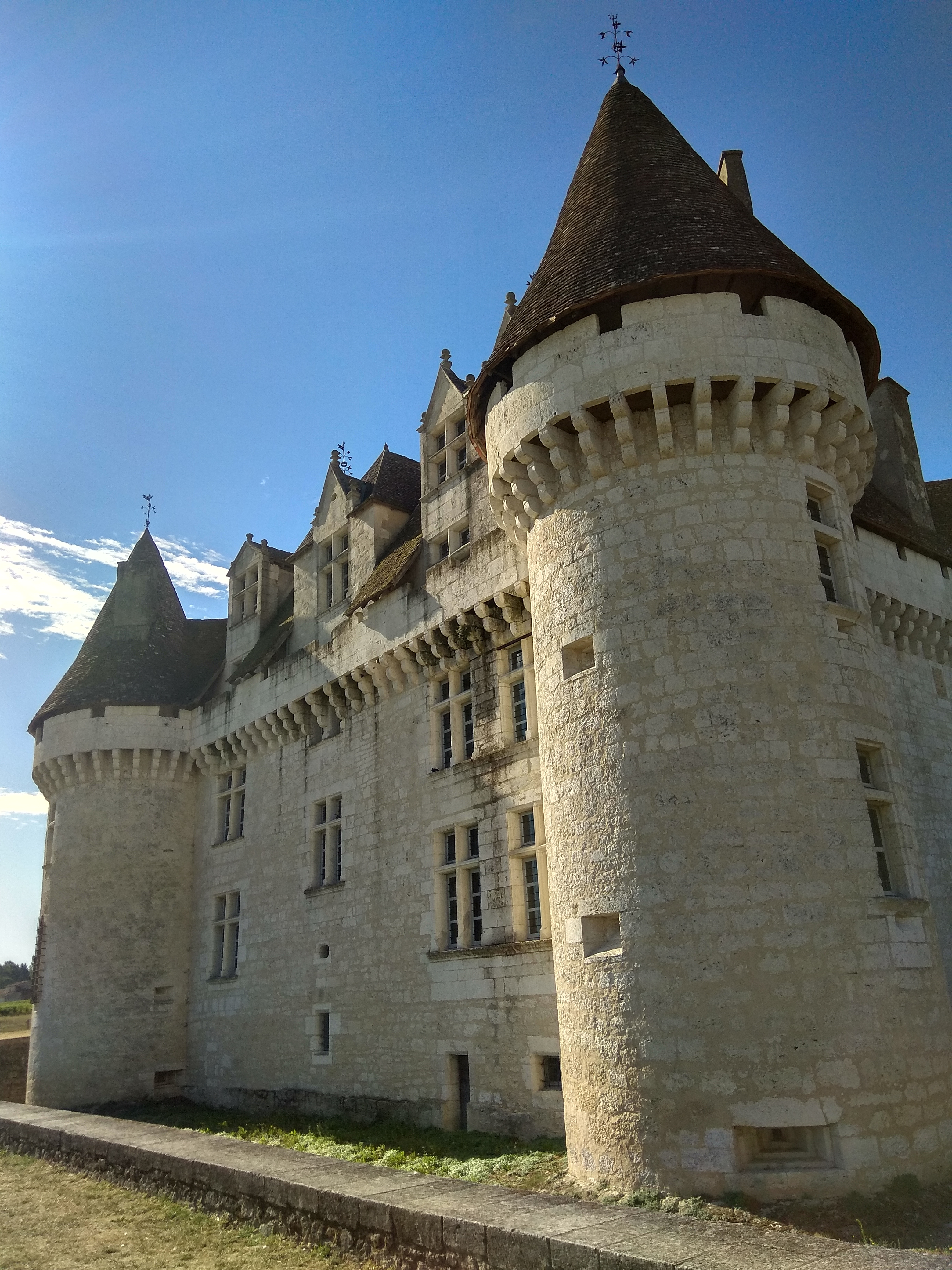 Photo n° 4 de l'avis de Vasco.i fait le 20/08/2020 à 11:45