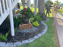 Edwin Lanscaping - Photo 6 - Car repair in , Galveston