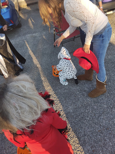 Video Game Store «Dustys Oldies and Goodies», reviews and photos, 8728 Co Rd 2301, Youngstown, FL 32466, USA