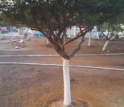 Parque Villas7 photo