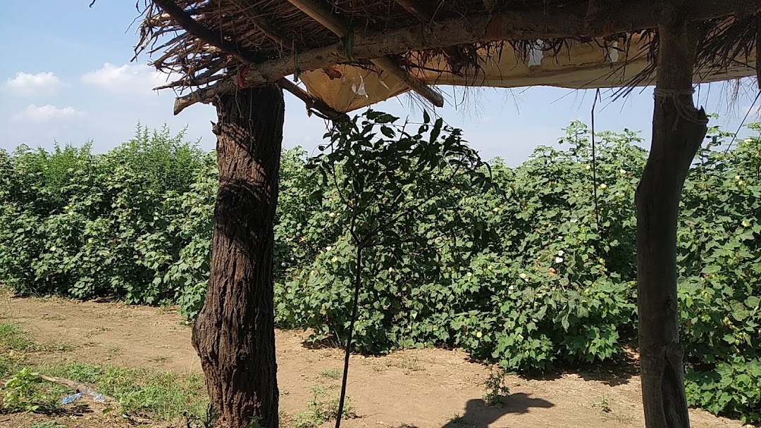 ચૌહાણ ભાઈ ફામ હાઉસ