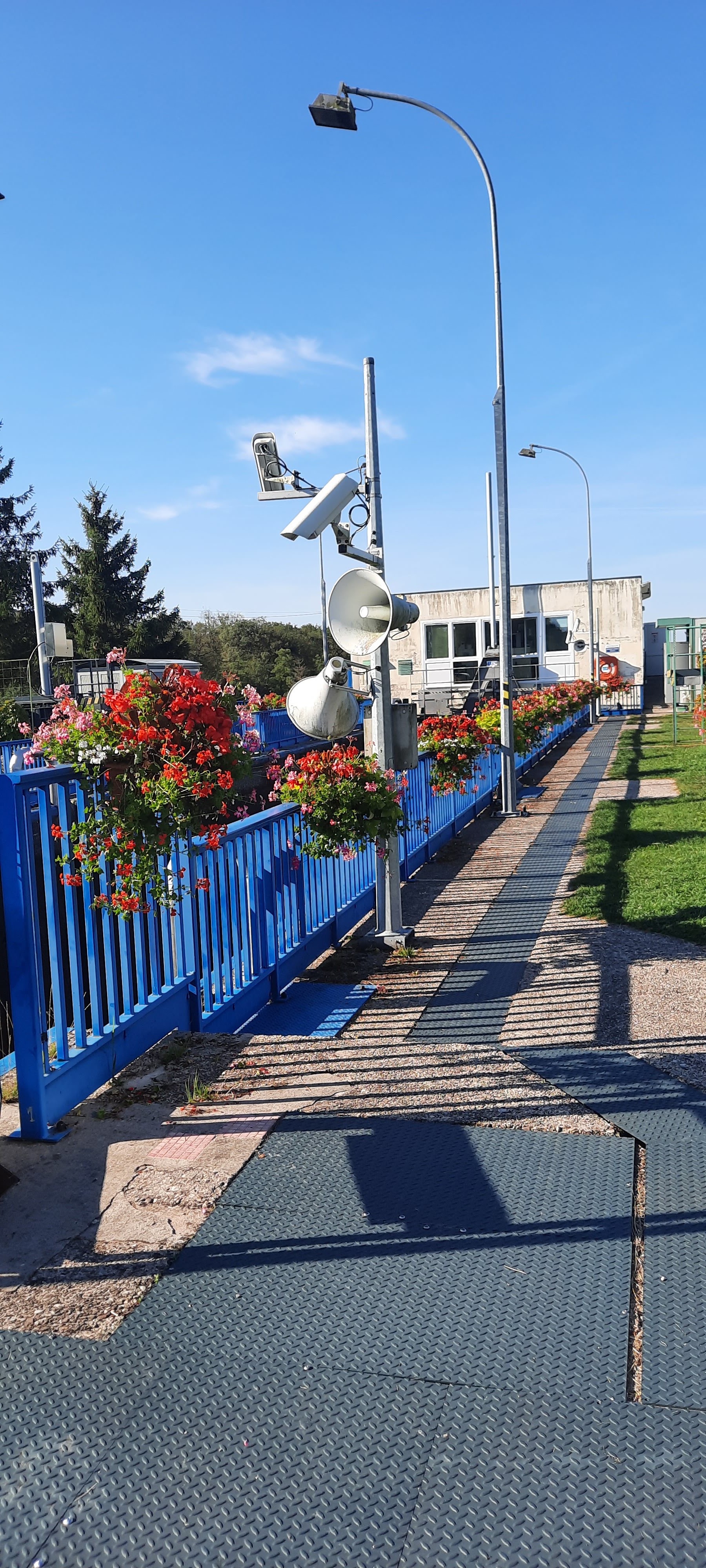 Photo n° 7 de l'avis de Annie.o fait le 18/09/2021 à 19:09
