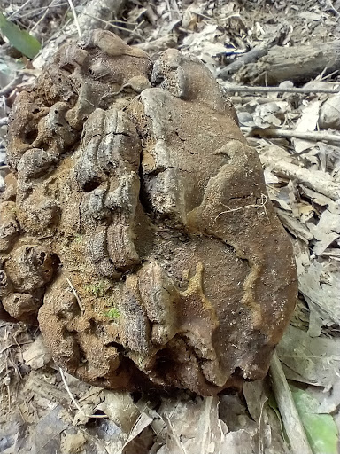 Golf Course «California Golf Course», reviews and photos, 5924 Kellogg Ave, Cincinnati, OH 45228, USA