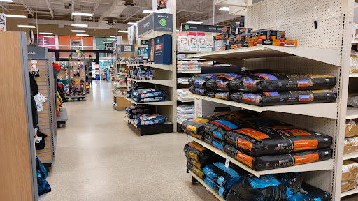 Pet Supply Store «PetSmart», reviews and photos, 219 Stafford Park Blvd, Manahawkin, NJ 08050, USA