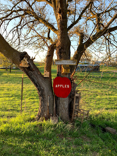 Gas Station «Newstar Market Inc», reviews and photos, 2936 John Marshall Hwy, Strasburg, VA 22657, USA