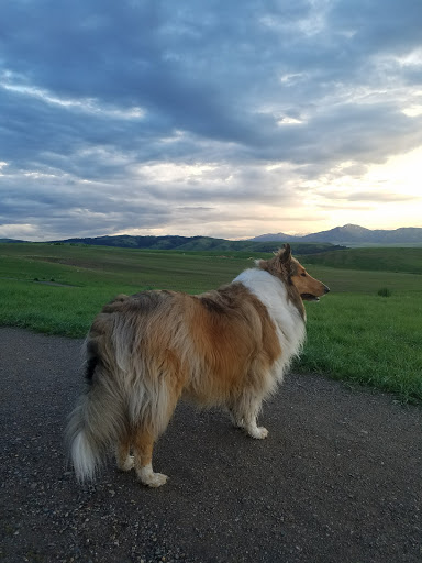 Public Golf Course «Bridger Creek Golf Course», reviews and photos, 2710 McIlhattan Rd, Bozeman, MT 59715, USA