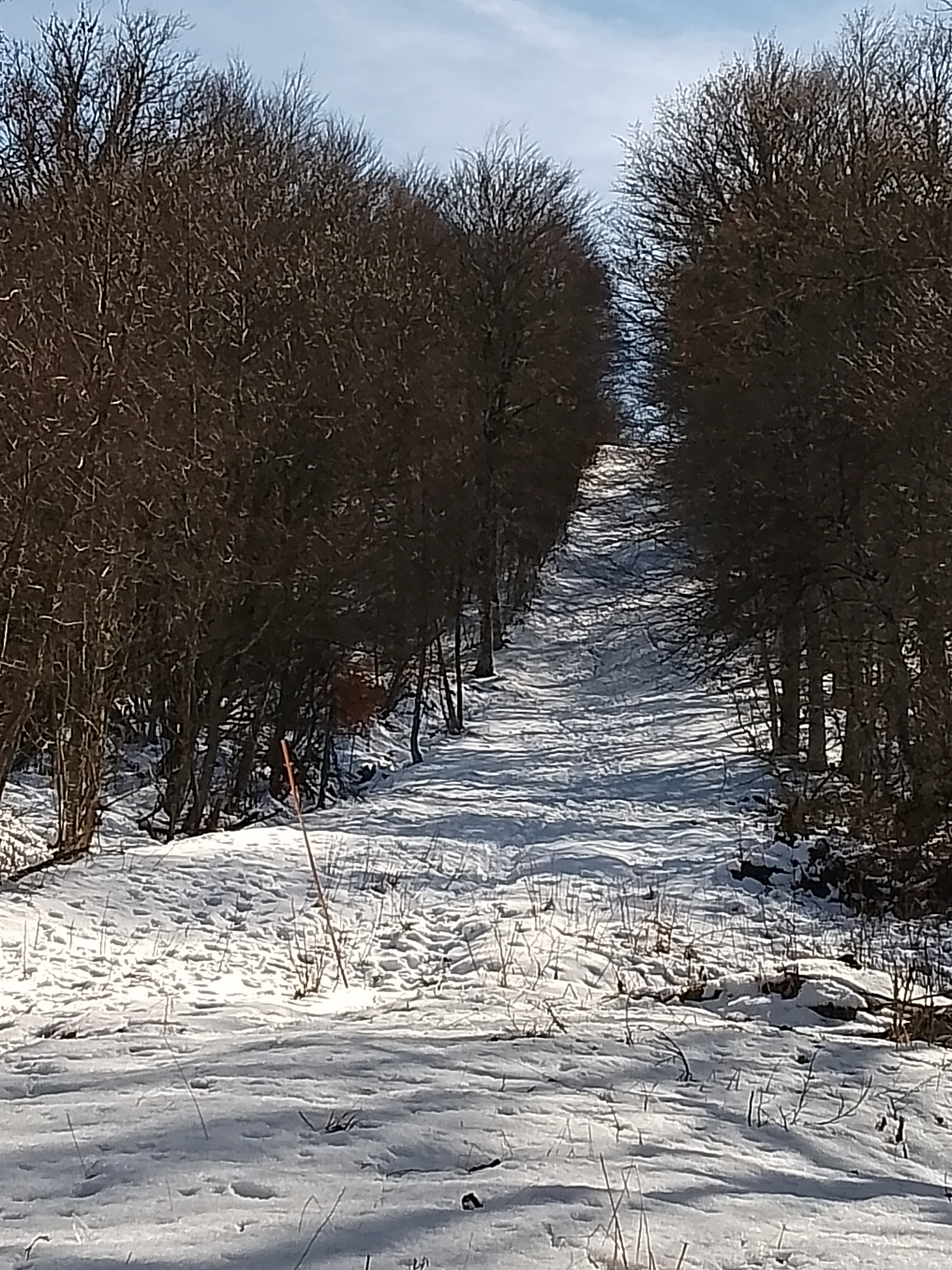 Photo n° 1 de l'avis de rt.r fait le 14/02/2024 à 18:32