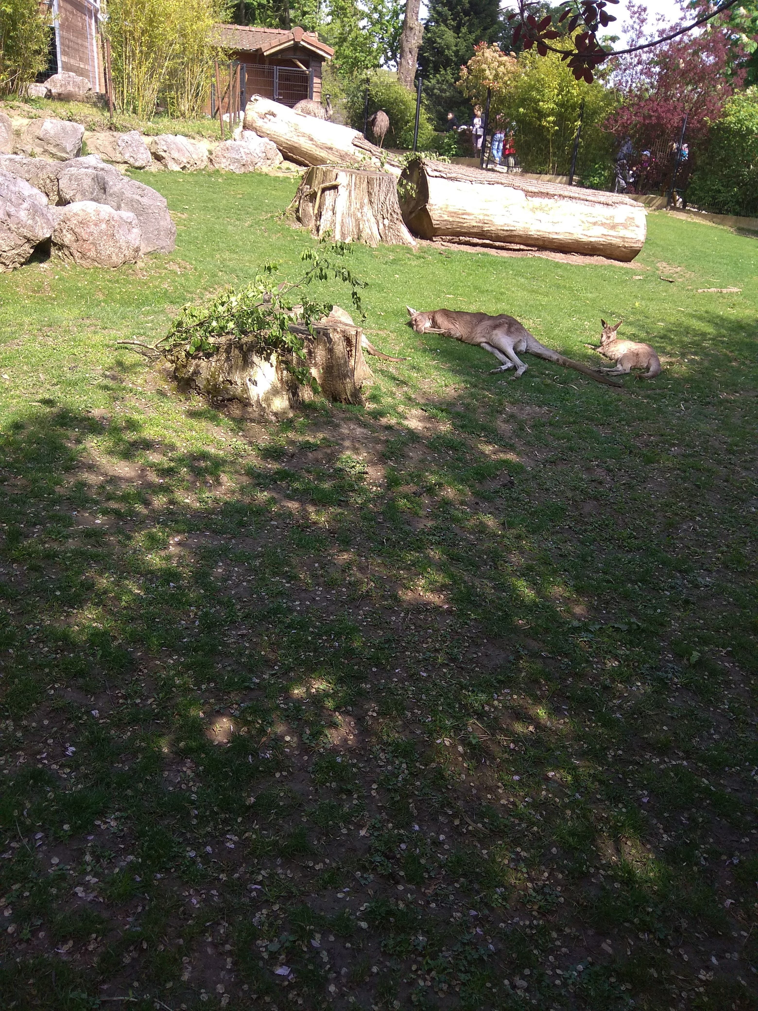 Photo n° 6 de l'avis de louloute.a fait le 05/07/2018 à 09:16