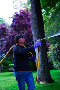 Chiro's Lawn Care - Photo 9 - Car repair in Port Chester, NY, Stamford